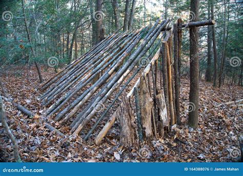 Primitive Lean To Survival Shelter In The Forest Makeshift Campsite In