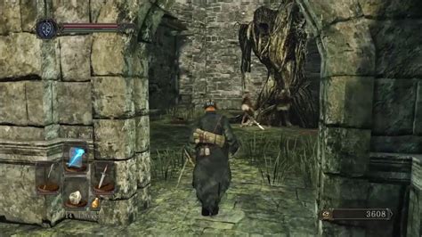 Dark Souls 2 Sotfs Part 05 Forest Of Fallen Giants Ii Youtube