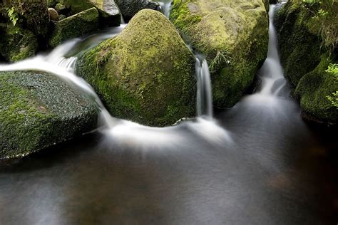 Green Moss Stream Water Nature Outdoor Motion Long Exposure