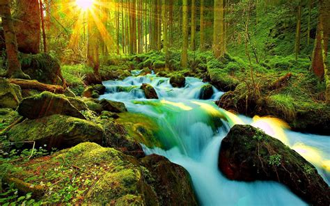 Beautiful Nature Forest River Wallpapers Hd High