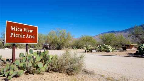 Pima County Us Vacation Rentals House Rentals And More Vrbo