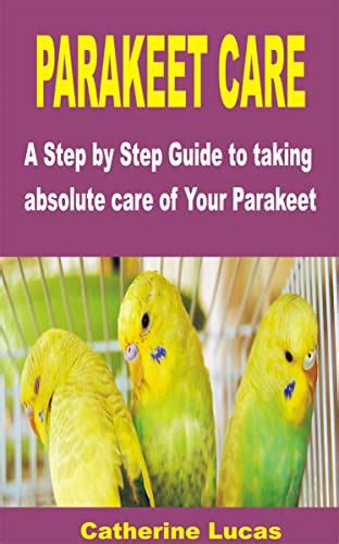 Parakeet Care A Step By Step Guide To Taking Absolute Care