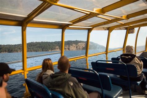 2023 Whale Watching Tour From Vancouver