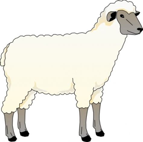 Sheep Clip Art Clipart Best