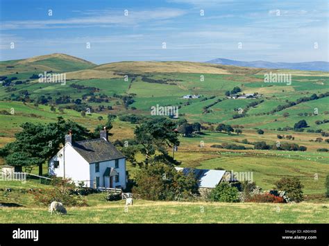 Typical Welsh Cottage And Hill Farm Llangollen North Wales Stock