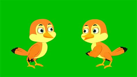Free No Copyrighttuni Chidiya Green Screen Cartoon Birdtalking Bird