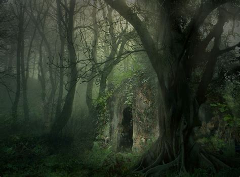 Captured Fairies By Natalieandpocket On Deviantart Paesaggi Foreste