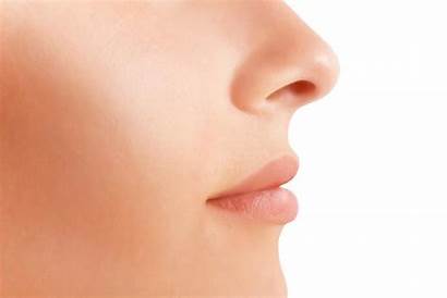 Smell Nose Mouth Receptors Olfactory Than Prod