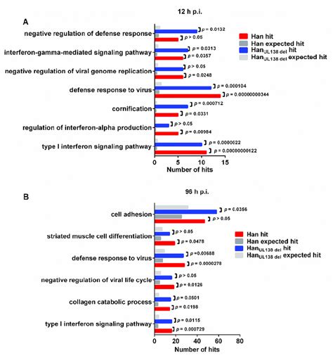 Gene Ontology Analysis Biological Process Of Differentially Regulated Download Scientific