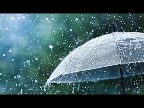 Rainy Day Whatsapp Status Download Tajassus