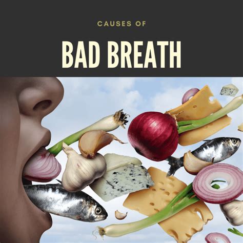 causes of bad breath romans and soltani dentistry