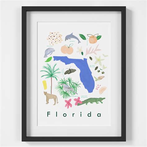 Illustrated Hand Drawn Florida State Symbols Art Print By Artist Holly