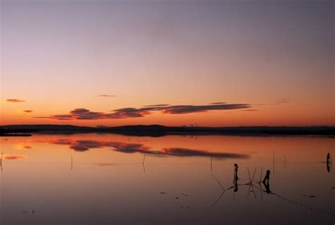 Backlit Beach Calm Dawn Dusk Evening Lake Landscape Photos In 