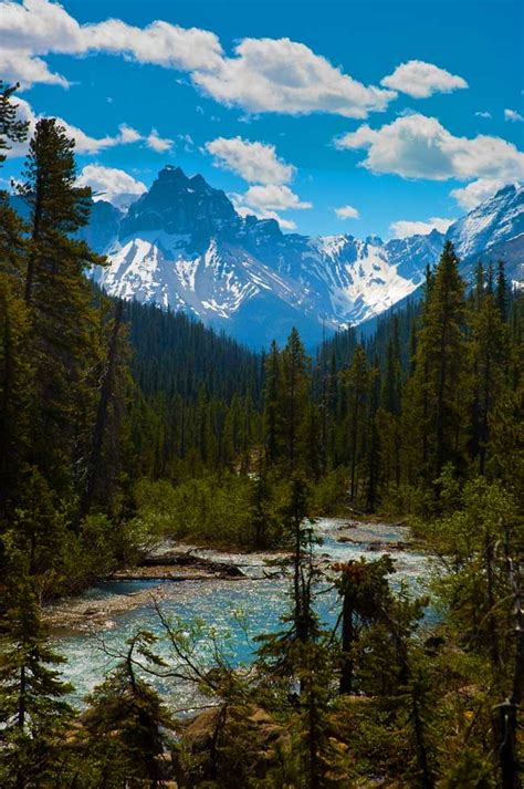 The Call Of Nature Yoho National Park British Columbia