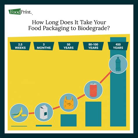 The Environmental Impact Of Food Packaging FreshFruitPortal Com