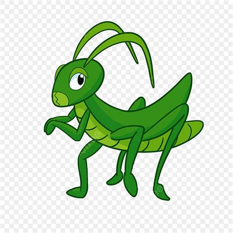 Green Grasshopper Png Vector Psd And Clipart With Transparent My Xxx Hot Girl