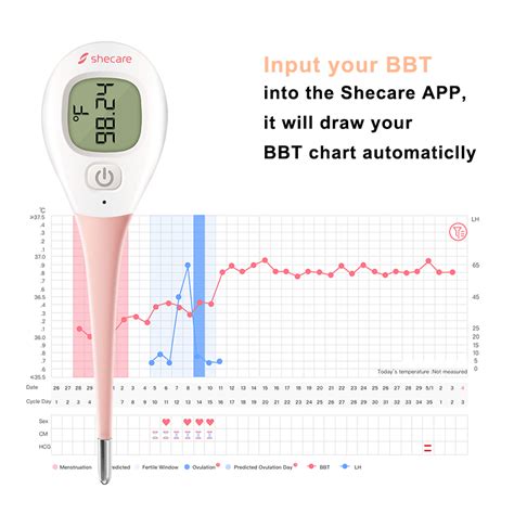 High Accuracy Digital Thermometer High Precision Thermometer Company Shecare