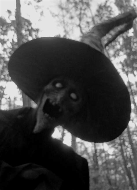 Grim Hollow Haunt Shadow Of The Witch Creepy Images Creepy Pictures