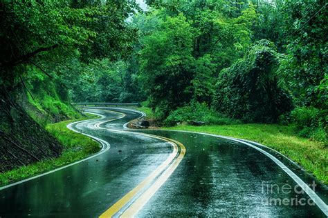 Country Road In Rain Photograph By Thomas R Fletcher