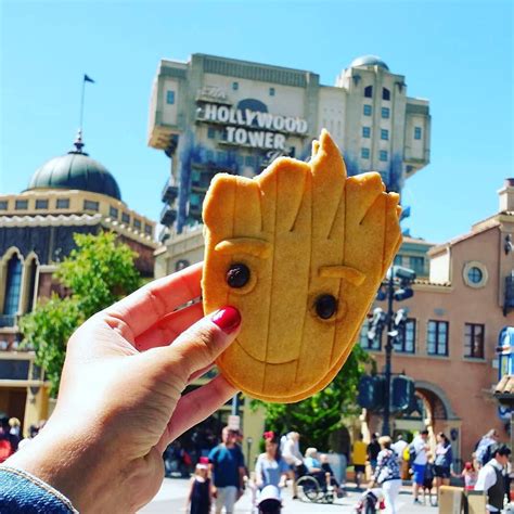 Vos Plus Belles Photos Instagram à Disneyland Paris