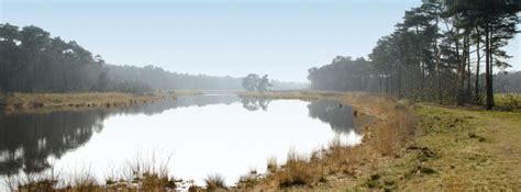 A tý čo sa serú sú veľké hovná. Campings - VVV Veldhoven