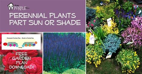 Our easy complete shade garden comes with a free shade garden plan! Perennial Garden Plans for Partial Sun or Shade | Garden ...
