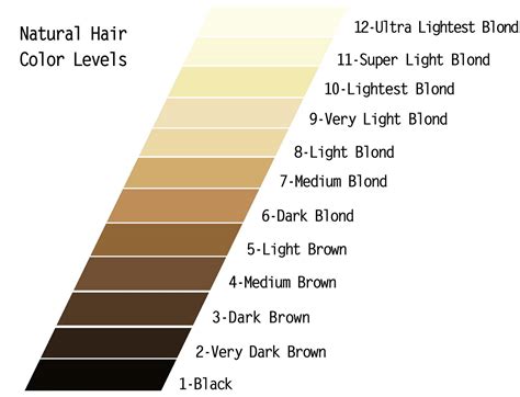 But the color result is not always as you can see, each of the eleven levels of color is appropriately named to indicate a specific degree of. Dye — CurlTalk