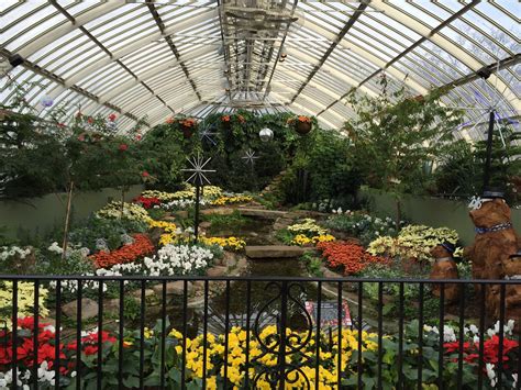 Poinsettia Show At Phipps Botanical Garden In Pittsburgh Pennsylvania