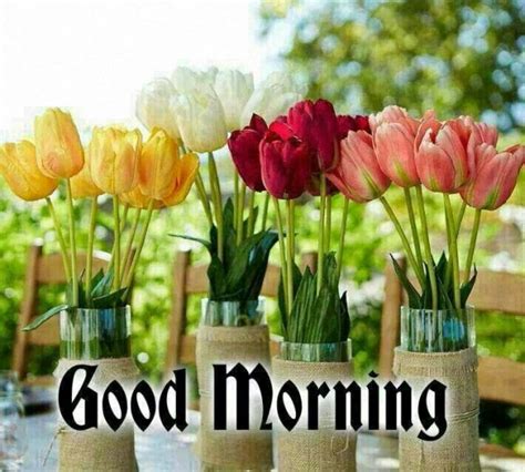 Good Morning With Tulips Good Morning Wishes And Images