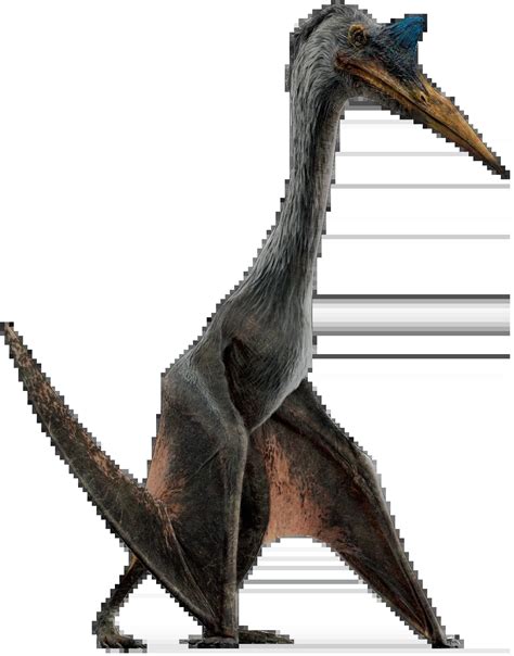 Quetzalcoatlus Dinosaur Wiki Fandom