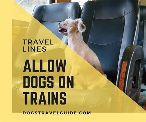 Travel Lines That Allow Dogs On Trains Detailed List Dogs Travel Guide
