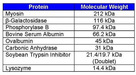 It can be calculated using, for example, the online expasy tool. OmniPur® Protein Molecular Weight Marker, Wide Range ...