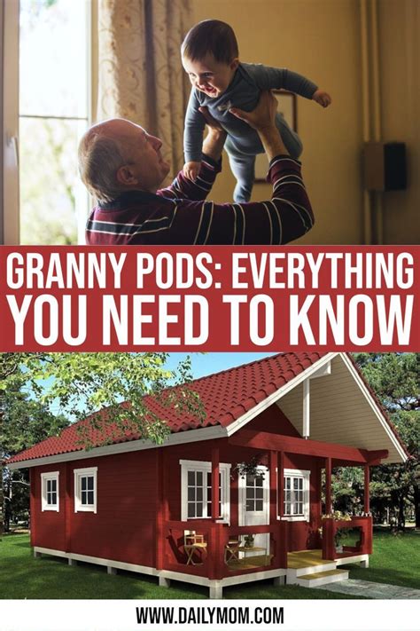 The Granny Pod 5 Important Facts You Need To Know Granny Pod Grandma Pods Pods