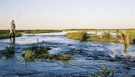 Río Corrientes Mapa Pesca Y Todo Lo Que Necesita Saber