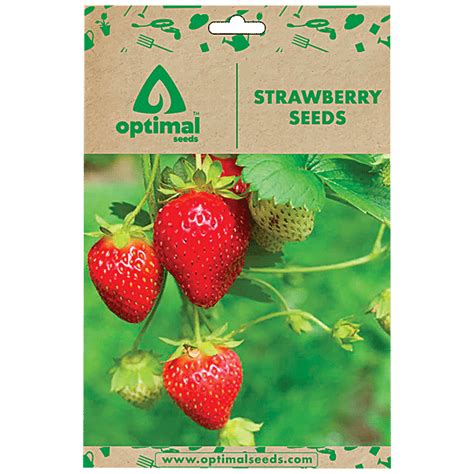 Buy Optimal Seeds Strawberry Fruit Seeds Online At Best Price Of Rs 149