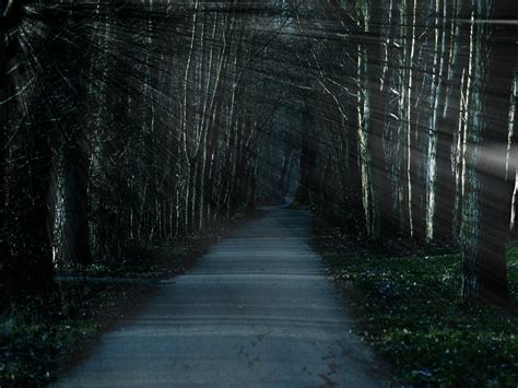 Free Download Creepy Trail Wallpapers Creepy Trail Stock Photos