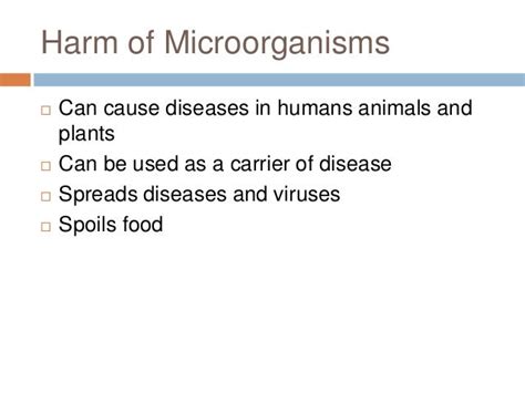 Beneficial And Harmful Effect Of Microorganisms Sarah