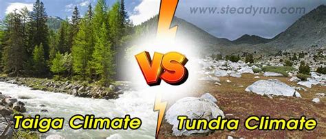 Difference Between Taiga And Tundra Climate Differences