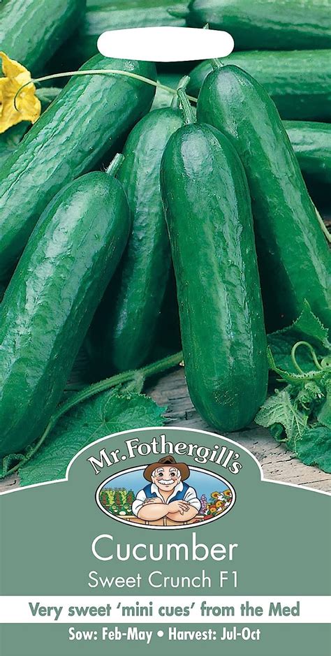 Mr Fothergills Pictorial Packet Vegetable Cucumber Sweet Crunch F1 15 Seeds Uk