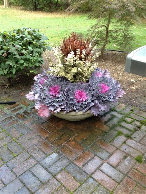 Fall Container Plants Deborah Silver And Co