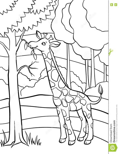 Coloring Pages Animals Little Cute Giraffe Stock Vector