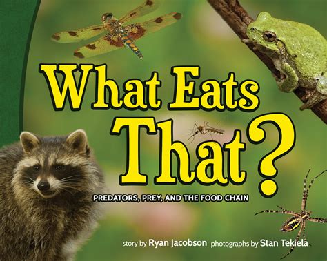 Food Chain Book Is Interactive Fun For Children Adventure Publications