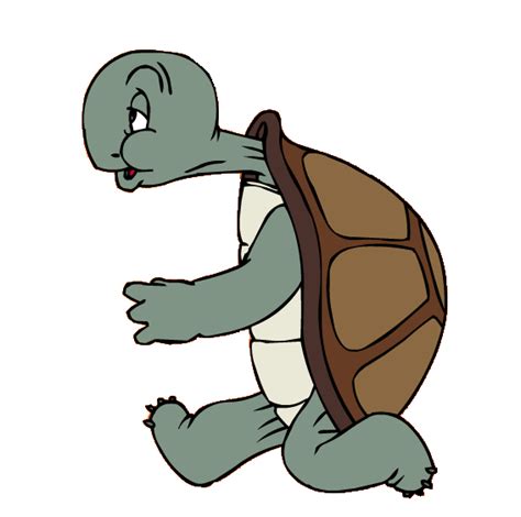 Cecil Turtle Warner Bros Entertainment Wiki Fandom