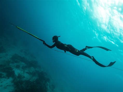 Spearfishing Freediving And Sailing Trip Freediving Central
