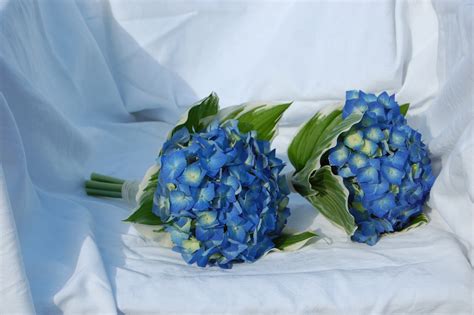 To bring your wedding floral dreams to life, begin with a rough idea of your wedding theme and colour scheme, the style of bouquets you are after, and your estimated flower budget. Blue Wedding Flowers - Free Wedding Ideas, Vendors and ...