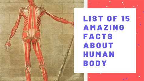 List Of 15 Amazing Facts About The Human Body You Dont Know Youtube