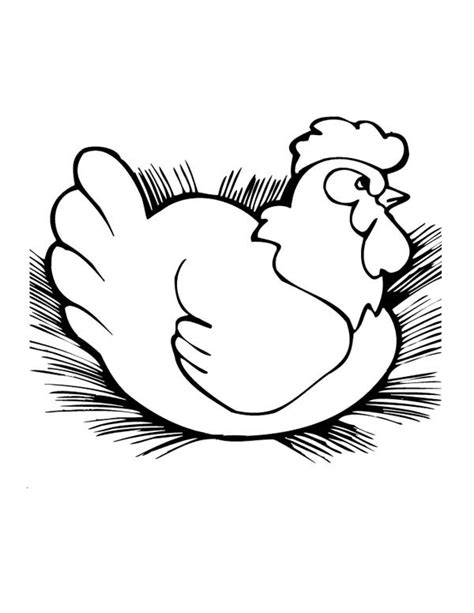 Sitting Hen Coloring Page Coloring Sky