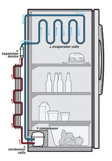 How Fridges And Freezers Work In The Real World