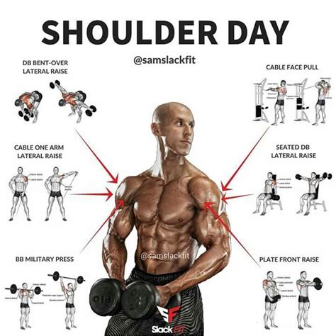 Pin By Sheldon Dowling On Exercício Shoulder Workout Workout Plan