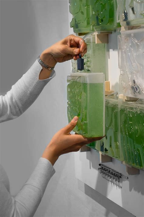The Coral Introduces Humans To The Benefits Of Growing Micro Algae At
